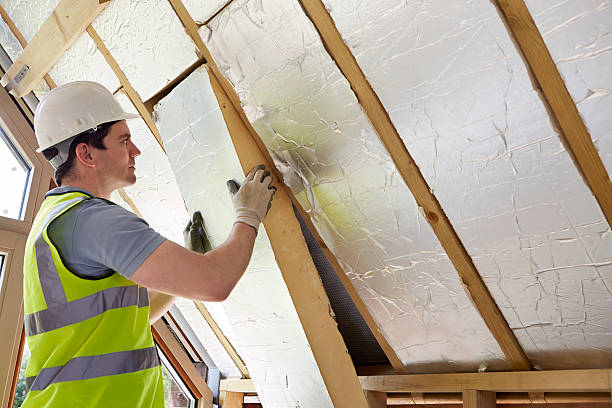 Best DIY Insulation Kits and Guidance in South Roxana, IL