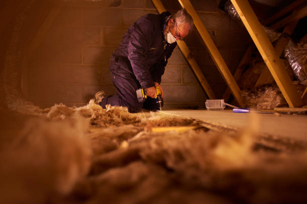 Professional Insulation Contractor in South Roxana, IL
